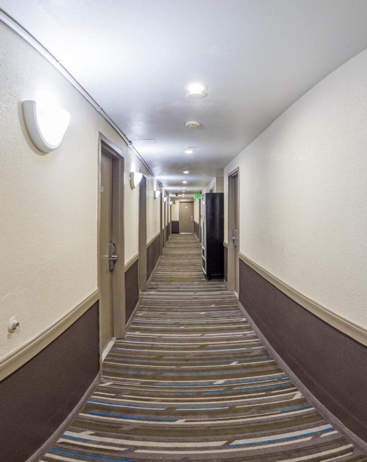 Buena Vista Motor Inn San Francisco Eksteriør bilde